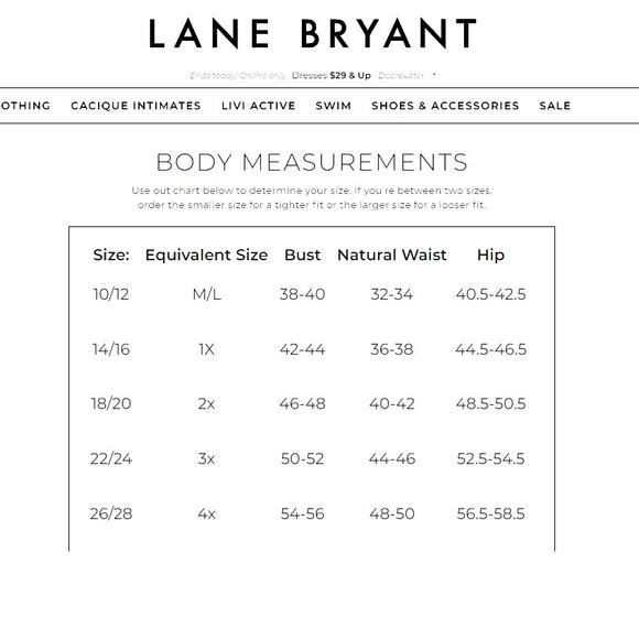 Lane Bryant Pretty & Perfect Cotton White Shirt Sz 26/28 4XL Mnimalist Basic NWT - Picture 13 of 13